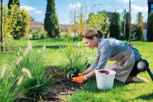 How to Create a Gardener-Friendly Environment