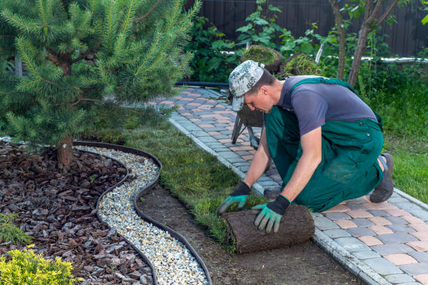 Insider's Guide to Landscaping