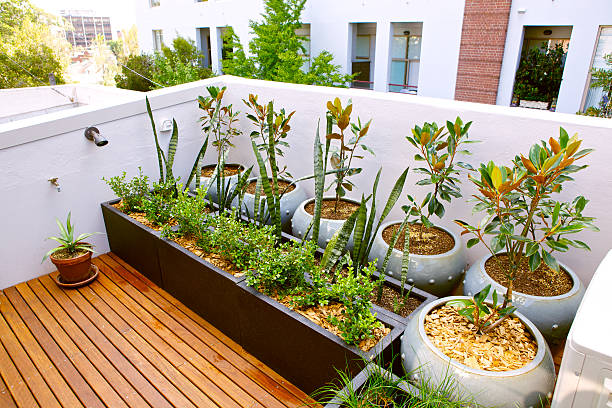 How to Start a Balcony Garden